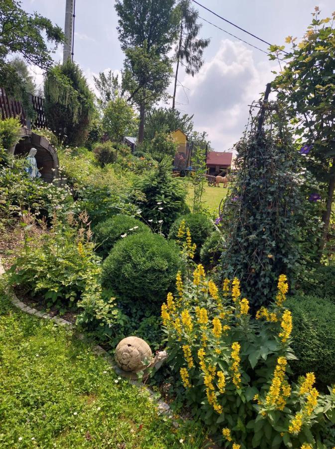 Noclegi U Ilony Czarna Góra 外观 照片